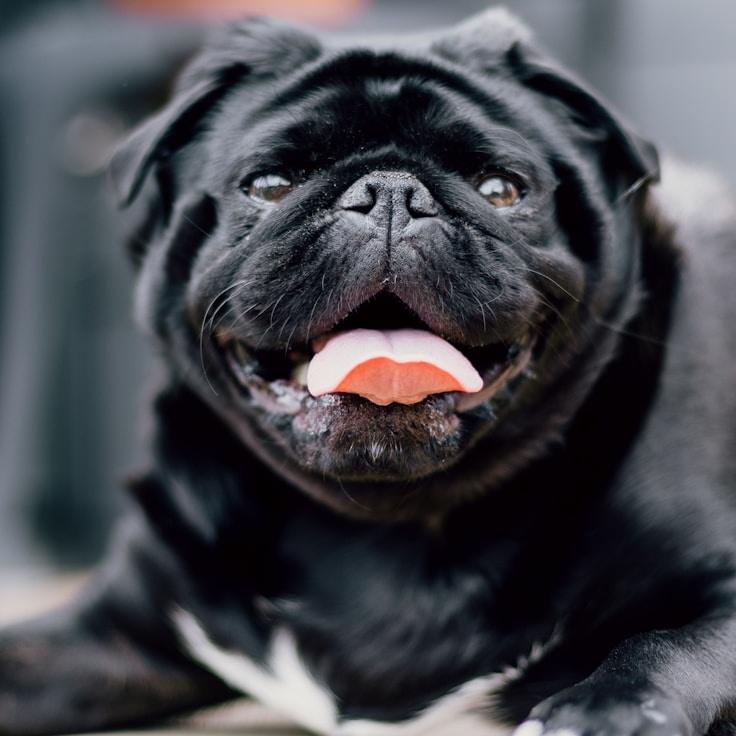 Jordan Lee, Client Relations Director, discussing corporate gifting strategy with business clients