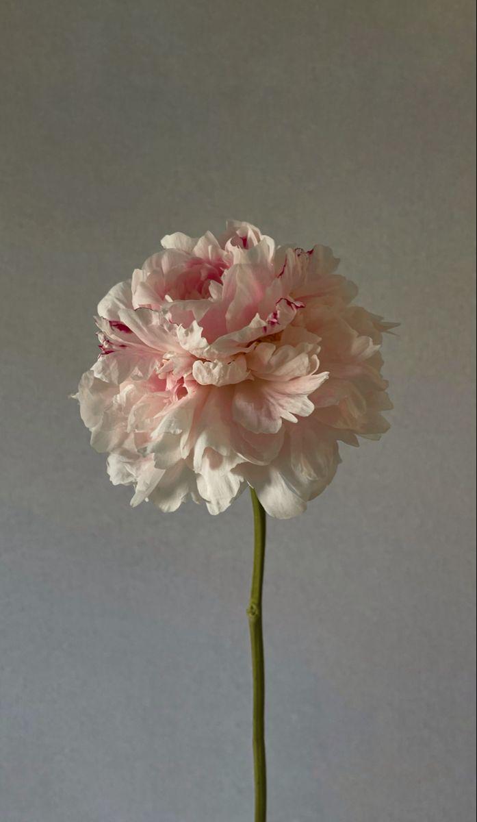 Corporate floral consultation example